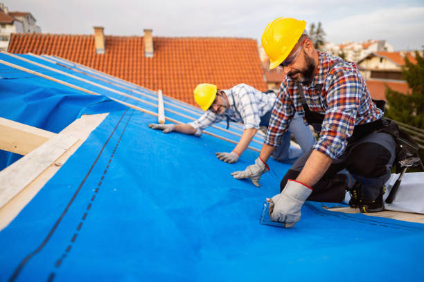 Best Residential Roofing Contractor  in Springfield, FL
