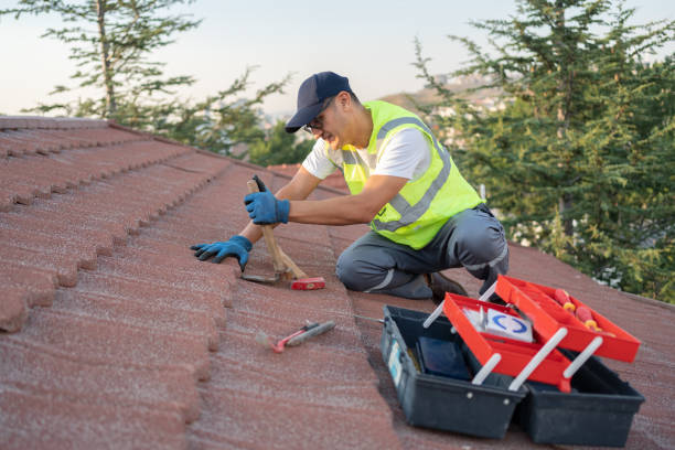Best Best Roofing Contractors  in Springfield, FL